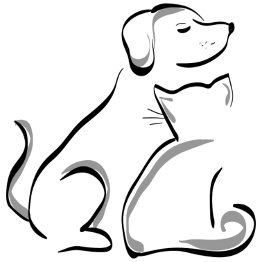 Motiv Hund und Katze