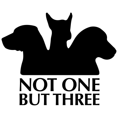 Motiv Hunde Nicht einer, sondern drei 1c