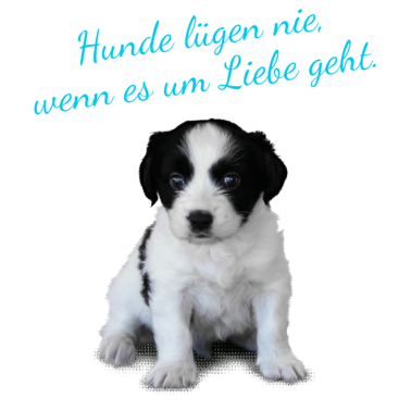 Motiv T-Shirt mit Hund - Süßer Hund und Hundesprüche