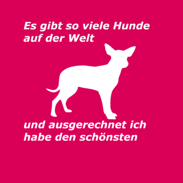 Motiv Es gibt so viele Hunde auf der Welt Geschenkidee