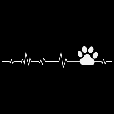 Motiv Hund Hunde