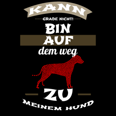 Motiv hund - auf dem Weg zu meinem Hund