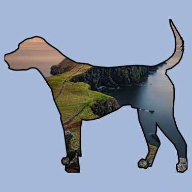 Motiv Der Hund, ich kann keinen Hund haben.