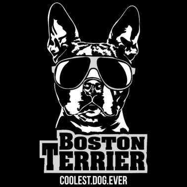 Motiv BOSTON TERRIER coolest dog Hunde Spruch Wilsigns