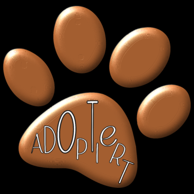 Motiv Hunde adoptieren HUNDEPFOTEN