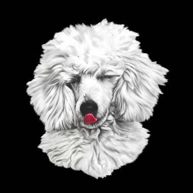 Motiv Pudel Hund