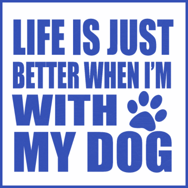 Motiv Hunde Hund