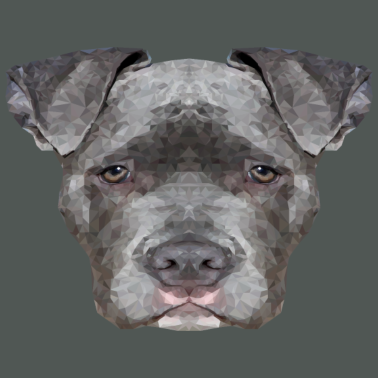 Motiv hund hunde