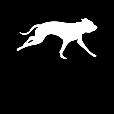 Motiv Hunde