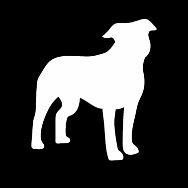 Motiv Hunde