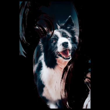Motiv Hund