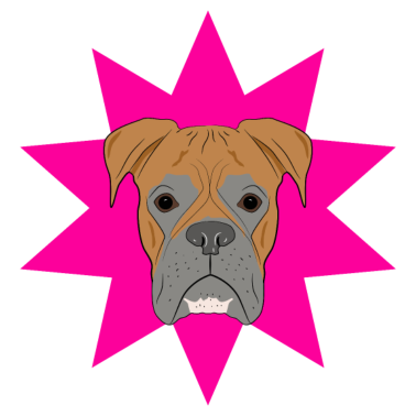 Motiv Hund