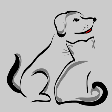 Motiv Hund und Katze