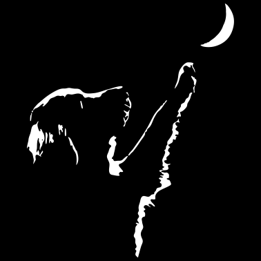 Motiv dog moon