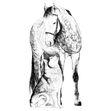 Motiv Pferd mit Hund