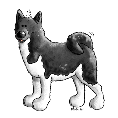 Motiv Knuffiger Akita - Hund