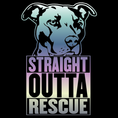 Motiv Listenhund Rettung Stafford Pitbull Hund