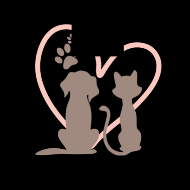 Motiv Hund und Katze