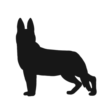 Motiv Hund Dackel Pudel Retriever Hunde Schäferhund Dog