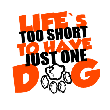 Motiv Mehr als nur einen Hund