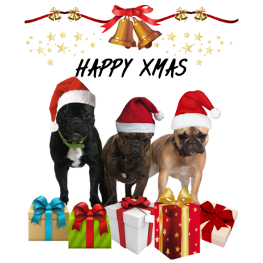 Motiv Weihnachten - Hunde und Geschenke