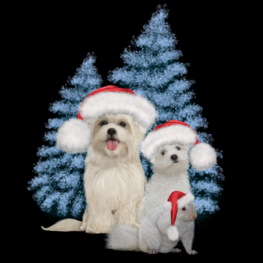 Motiv Weihnachtsnetter Hund mit Eichhörnchen