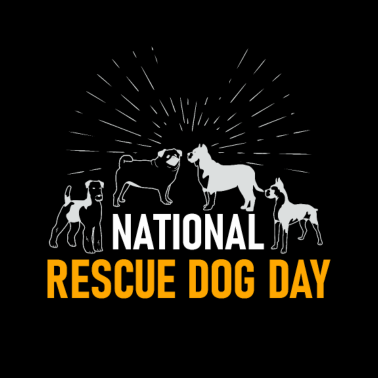 Motiv Rette Hunde aus der Tötungsstation Geschenk Hund