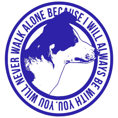 Motiv Hund Spruch T-Shirt