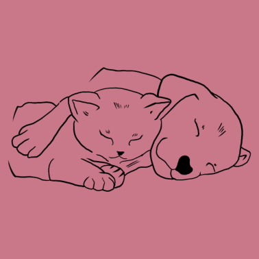 Motiv Katze und Hund