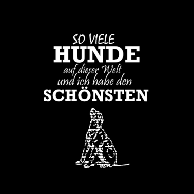 Motiv So viele Hunde und meiner ist der schönste