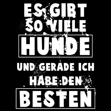 Motiv Es gibt so viele Hunde und ich habe den Besten