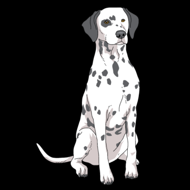 Motiv Dalmatiner Hund