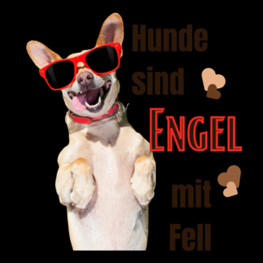 Motiv Hunde sind Engel mit Fell