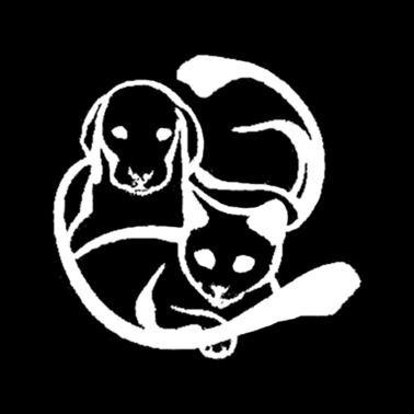 Motiv Hund und Katze