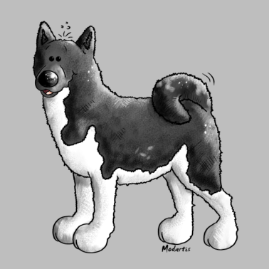 Motiv Knuffiger Akita - Hund