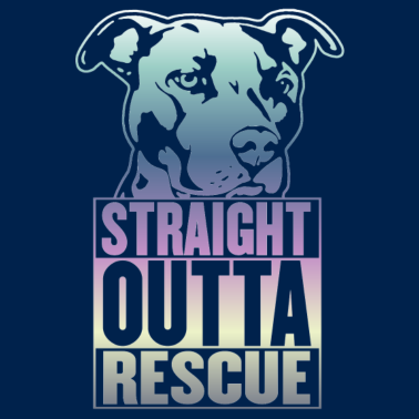 Motiv Listenhund Rettung Stafford Pitbull Hund