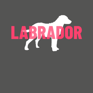Motiv Labrador