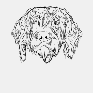 Motiv Griffon Korthals Hund