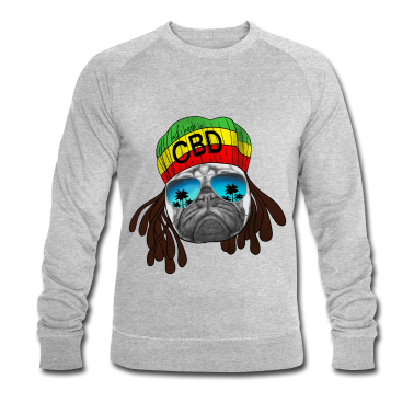 Hunde Pullover - A i need is CBD