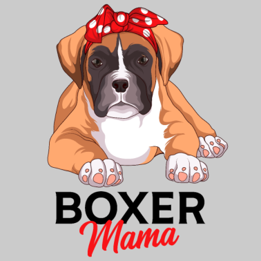 Motiv Boxer Hund