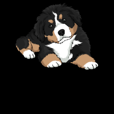 Motiv Berner Sennenhund Welpe