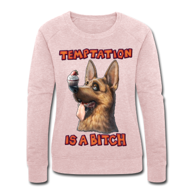 Hunde Pullover - Temptation is a Bitch