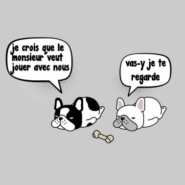 Motiv zwei müde Hunde, die wir nicht wollen