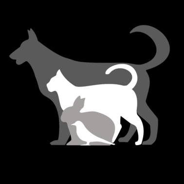 Motiv Hund Katze Hase Vogel Haustier