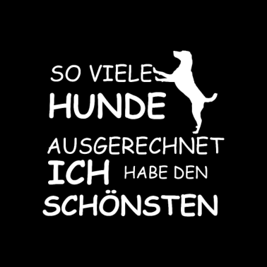 Motiv ich habe den schoensten hund