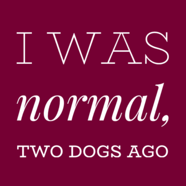 Motiv Mehr als zwei Hunde