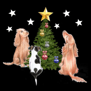 Motiv Weihnachten, Hunde, Weihnachtsstern
