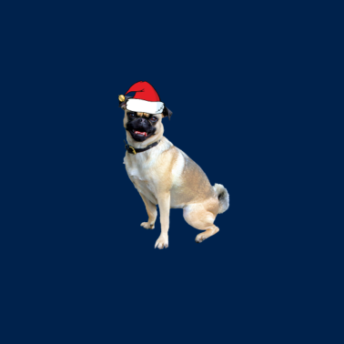 Motiv Hund mit Muetze Weihnachten Geschenk Bulldoge