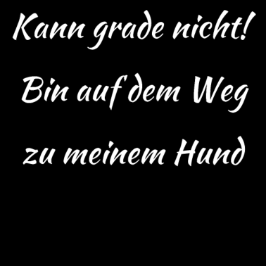 Motiv hund - auf dem Weg zu meinem Hund