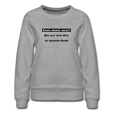 Hunde Pullover - hund - auf dem Weg zu meinem Hund